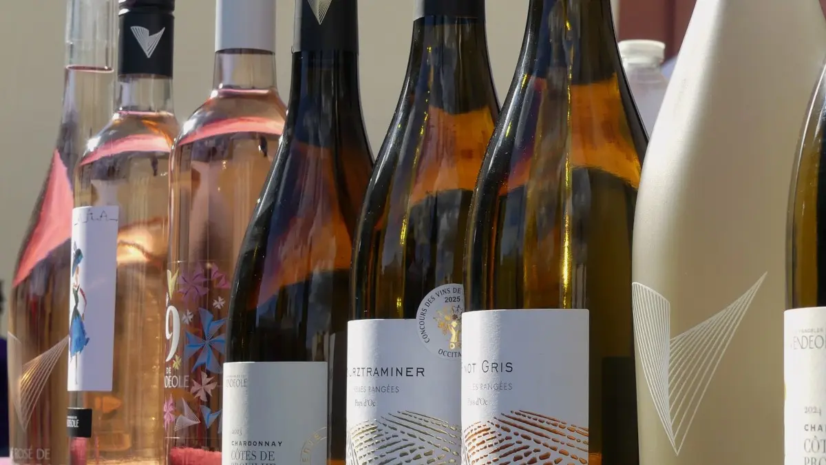 LES VIGNOBLES VENDEOLES