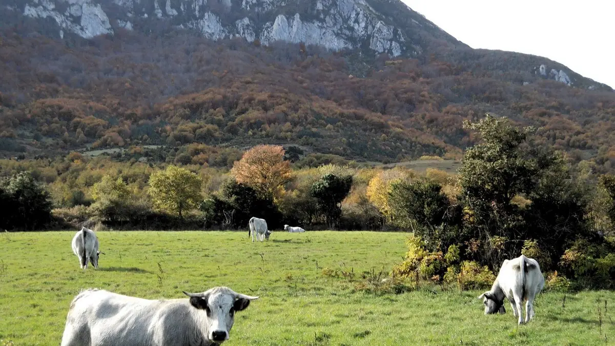 GITE D'ETAPE LA BASTIDE