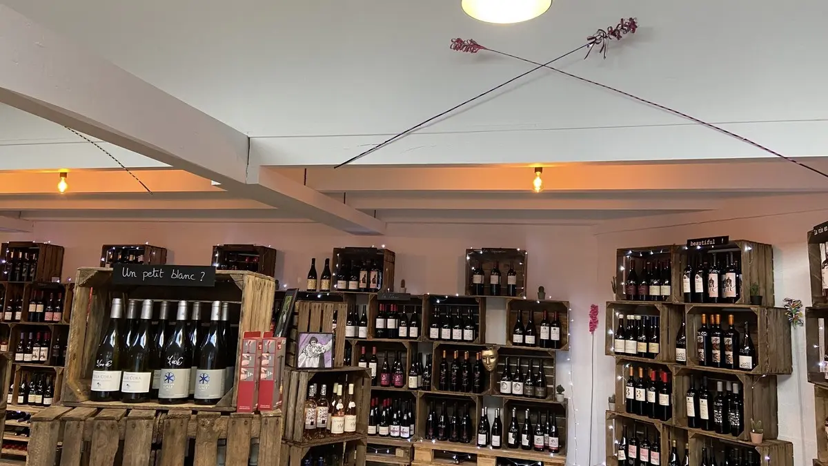 DE LA VIGNE AUX VINS