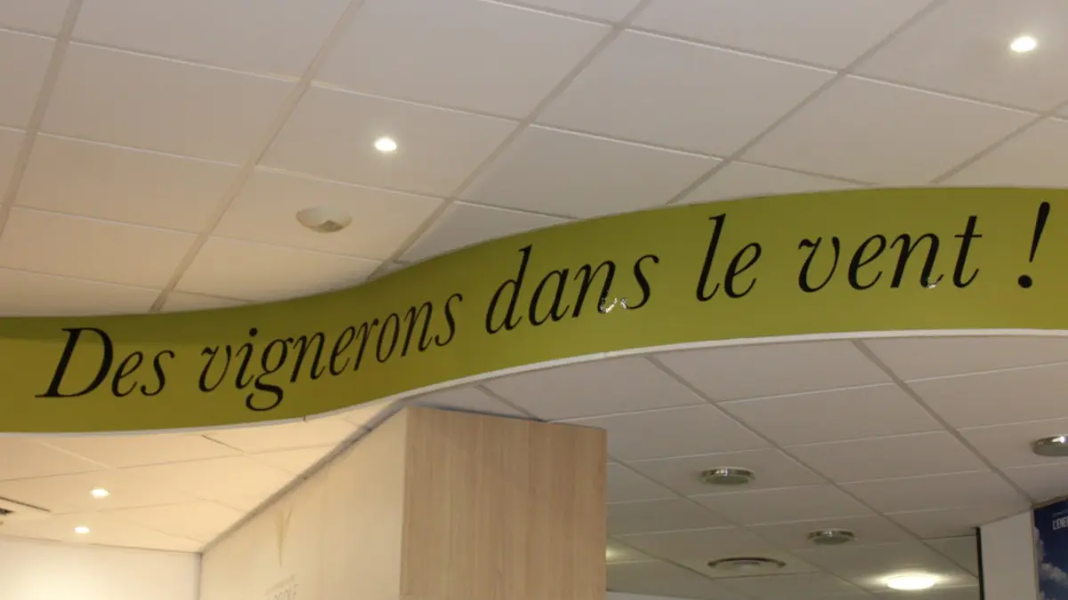 LES VIGNOBLES VENDEOLES