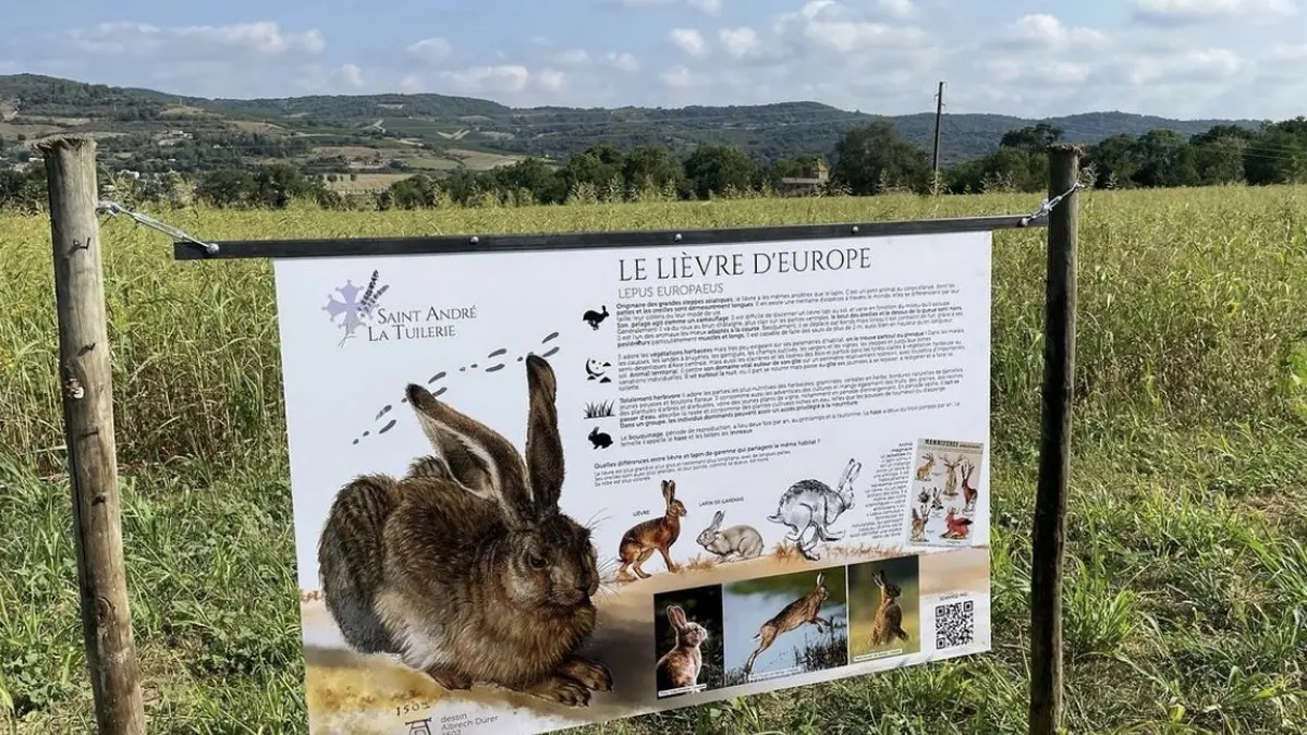 Saint André la Tuilerie