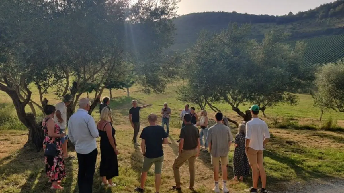 découverte vignoble, balade dans la nature