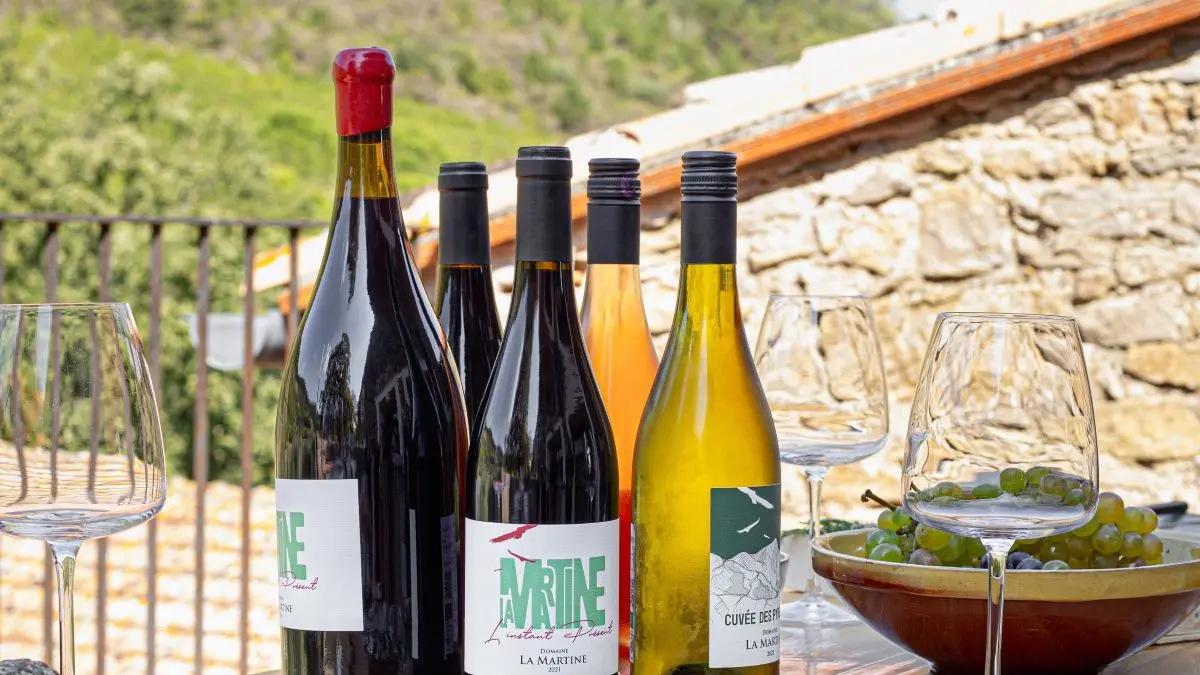 dégustation vins bio La Martine
