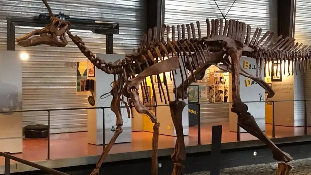 MUSEE DES DINOSAURES