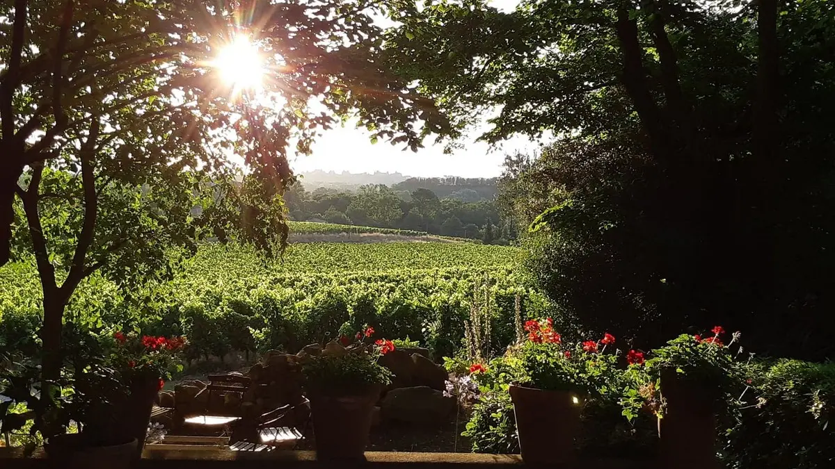 DOMAINE DE LA SAPINIERE