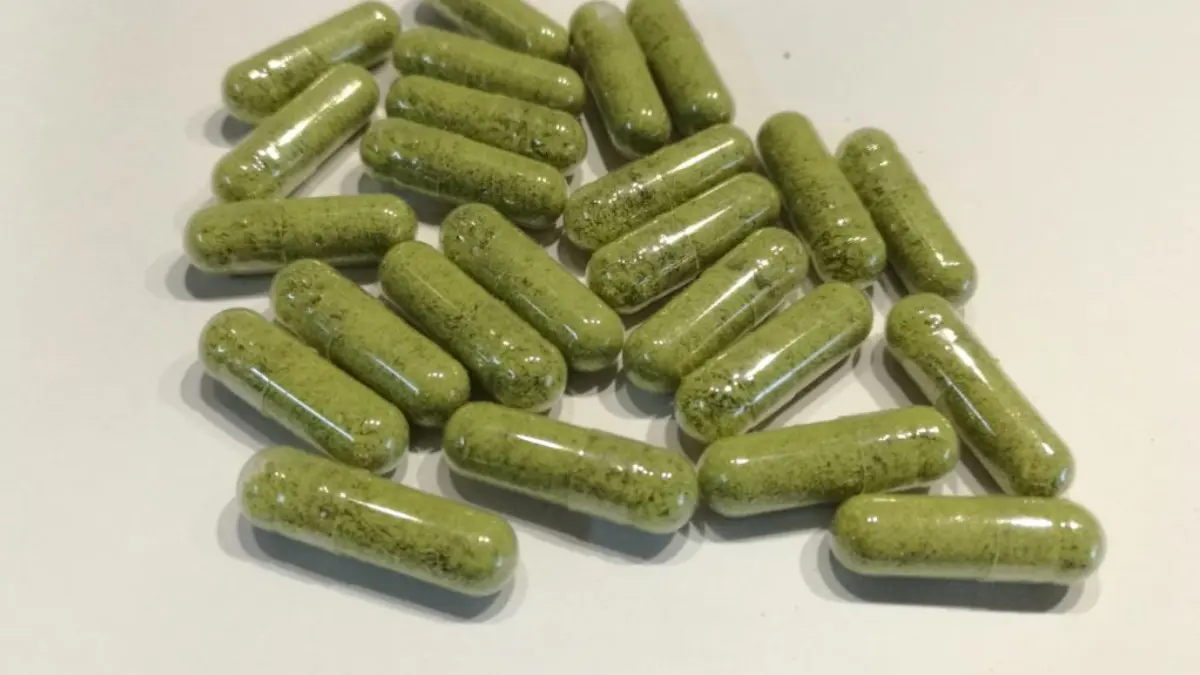 Gélules de poudre de feuilles d'olivier