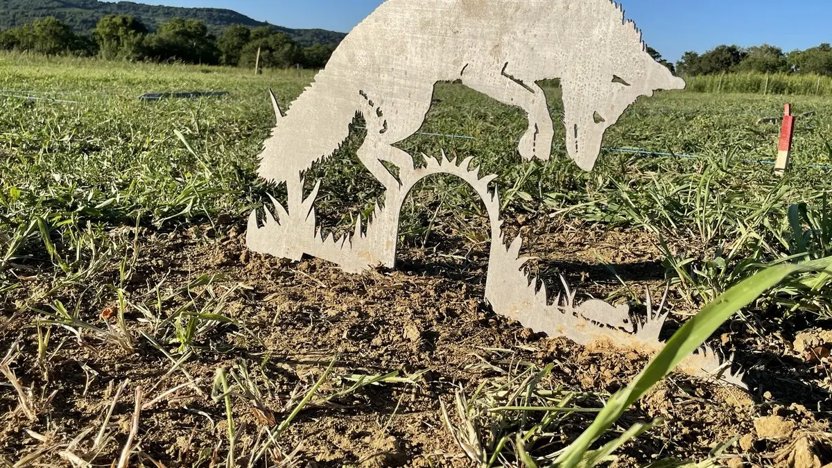 Saint André la Tuilerie