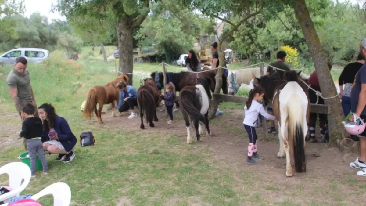 la ferme de lamoure(3).