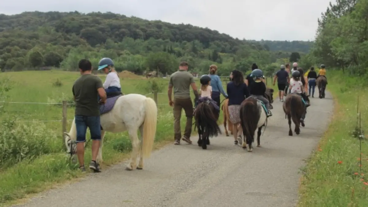 la ferme de lamoure(6)