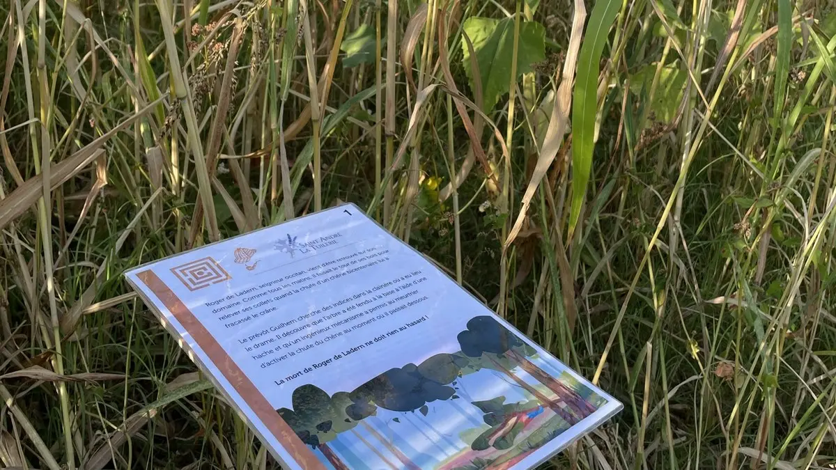 Saint André la Tuilerie