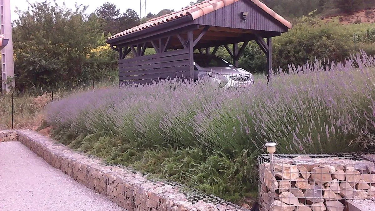 maisondeslevriers_carport_EEV