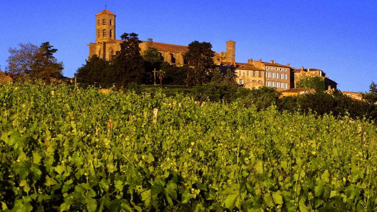 TERROIR MALEPERE - MONTREAL