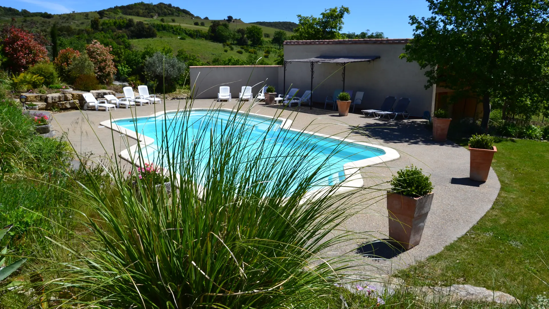 piscine en pleine nature