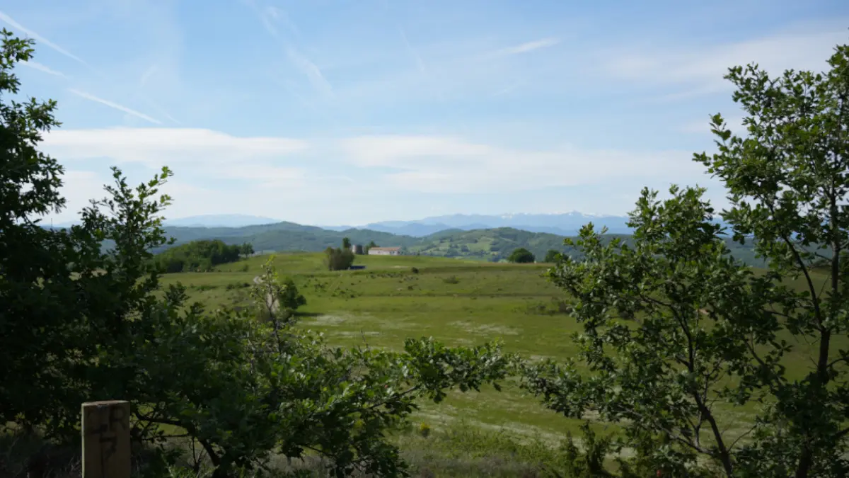 sentier panoramique 2.jpg