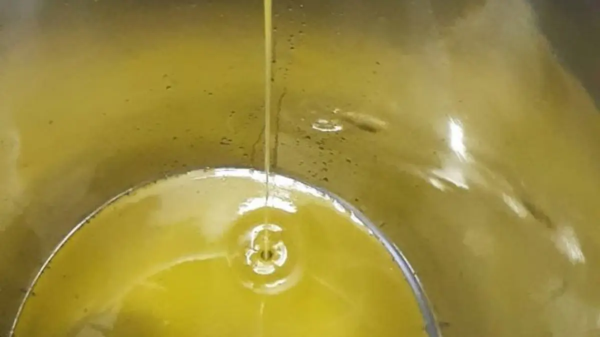 Huile d'olive du Domaine