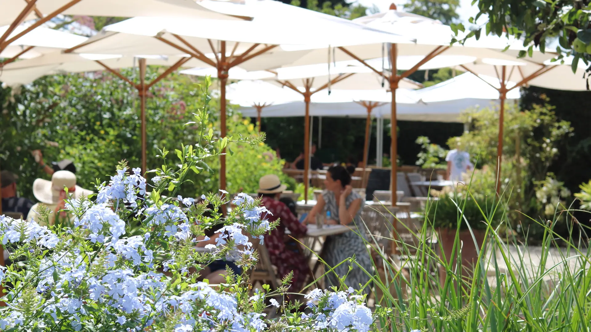 La terrasse de L'Orangerie