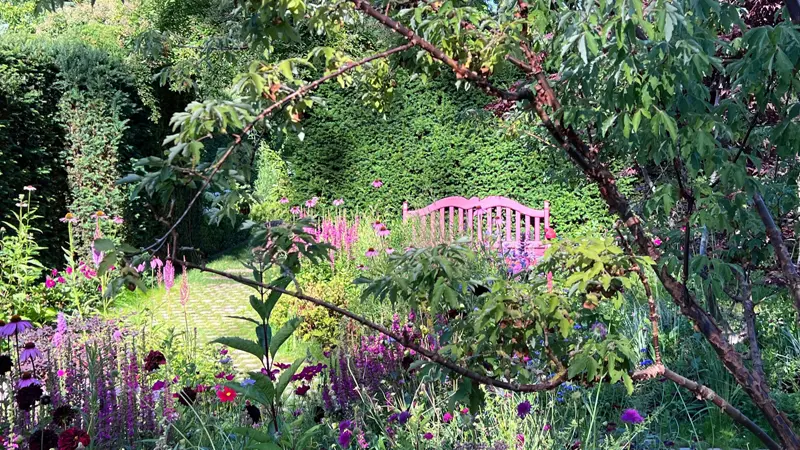 10 jardin pourpre 2
