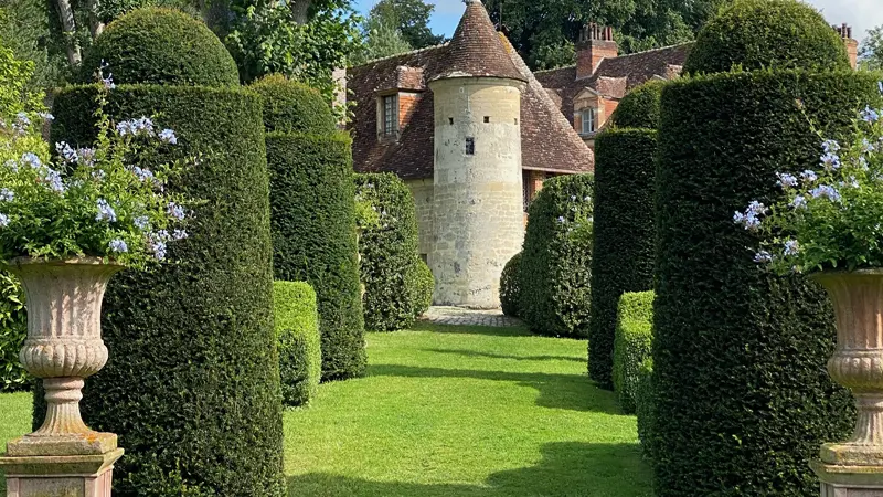 3 cone de vue