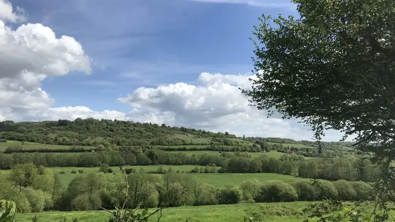Autour-du-chateau-de-Saint-Germain-de-Livet--3-