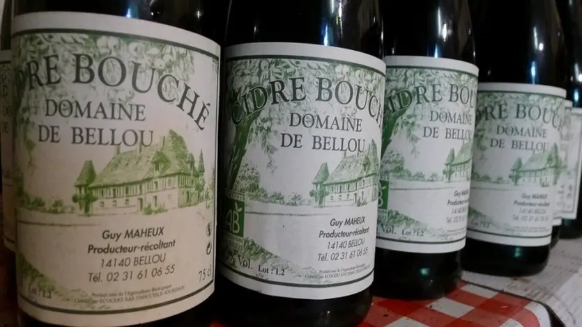 BOUTEILLES DE CIDRE - GUY MAHEUX