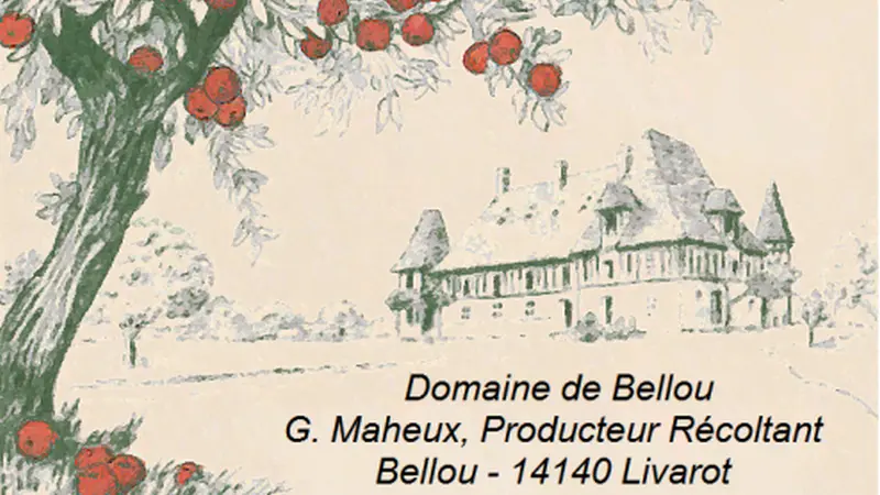 CARTE DE VISITE - GUY MAHEUX