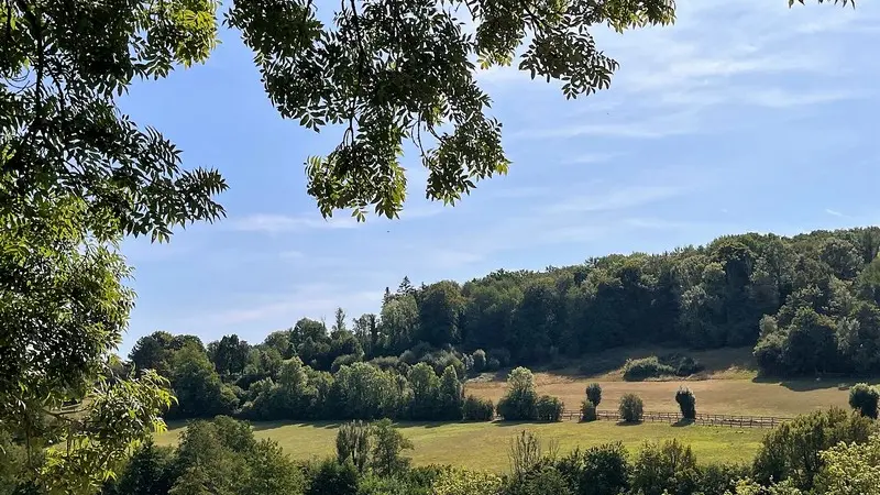 Gite Marguerite Petale vue