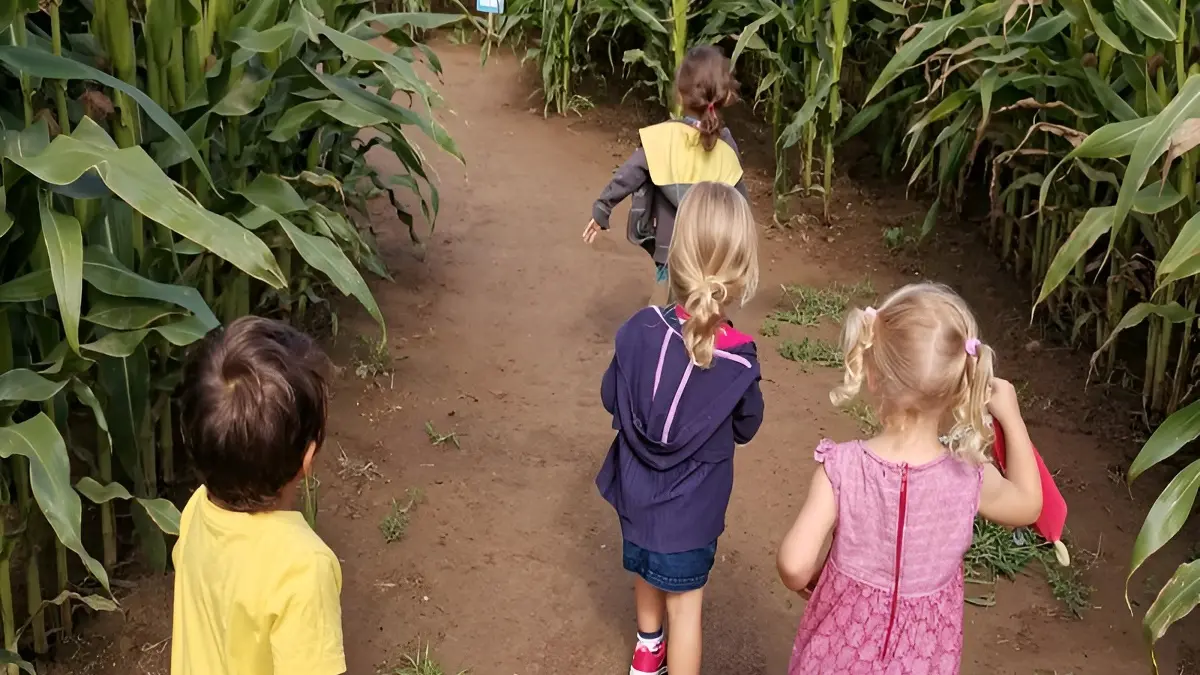 Labyrinthe de Honfleur