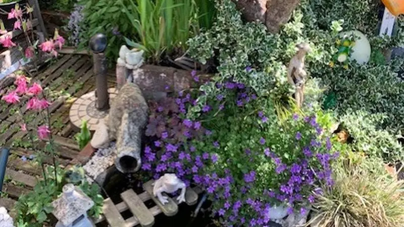 Jardin fontaine Doms Garden