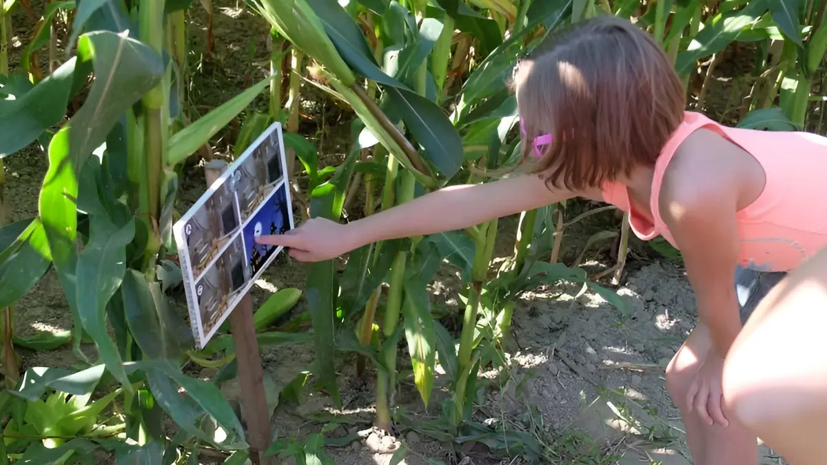 Labyrinthe de Honfleur
