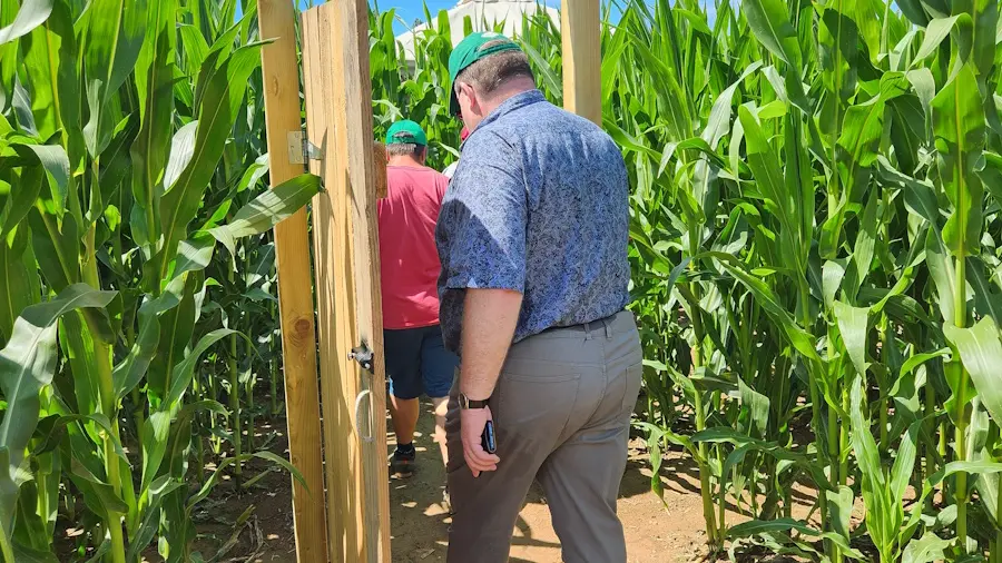 Labyrinthe de Honfleur2