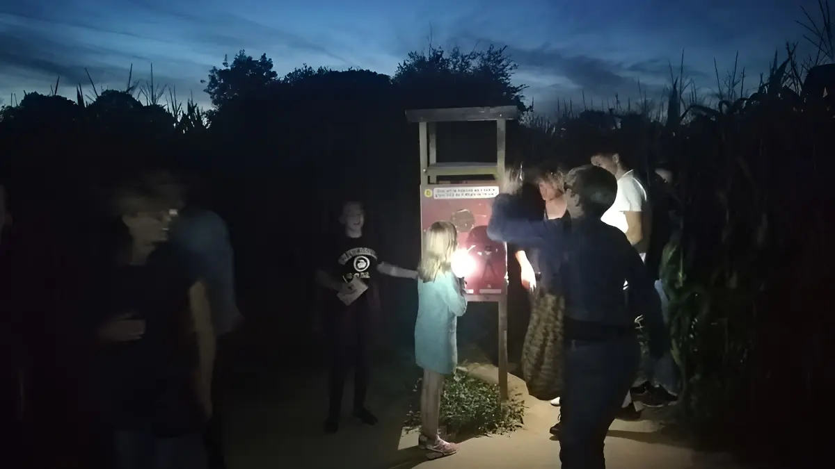 NOCTURNE 2019 LABYRINTHE DE HONFLEUR©Asso Labyrinthes de Normandie