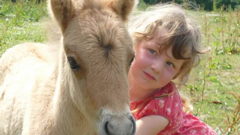 Poney Club du Moulin Bourg Ouilly du Houley ponay avec enfant