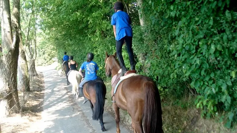 Poney Club du Moulin Bourg Ouilly du Houley promenades