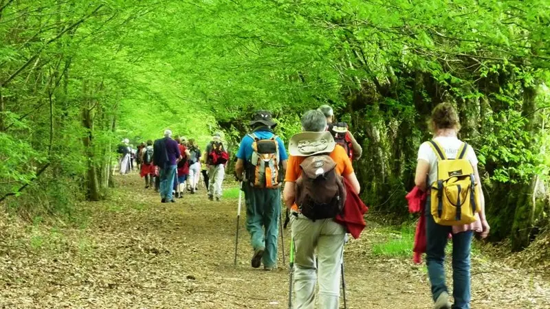 Pretreville (credit V Hublin)