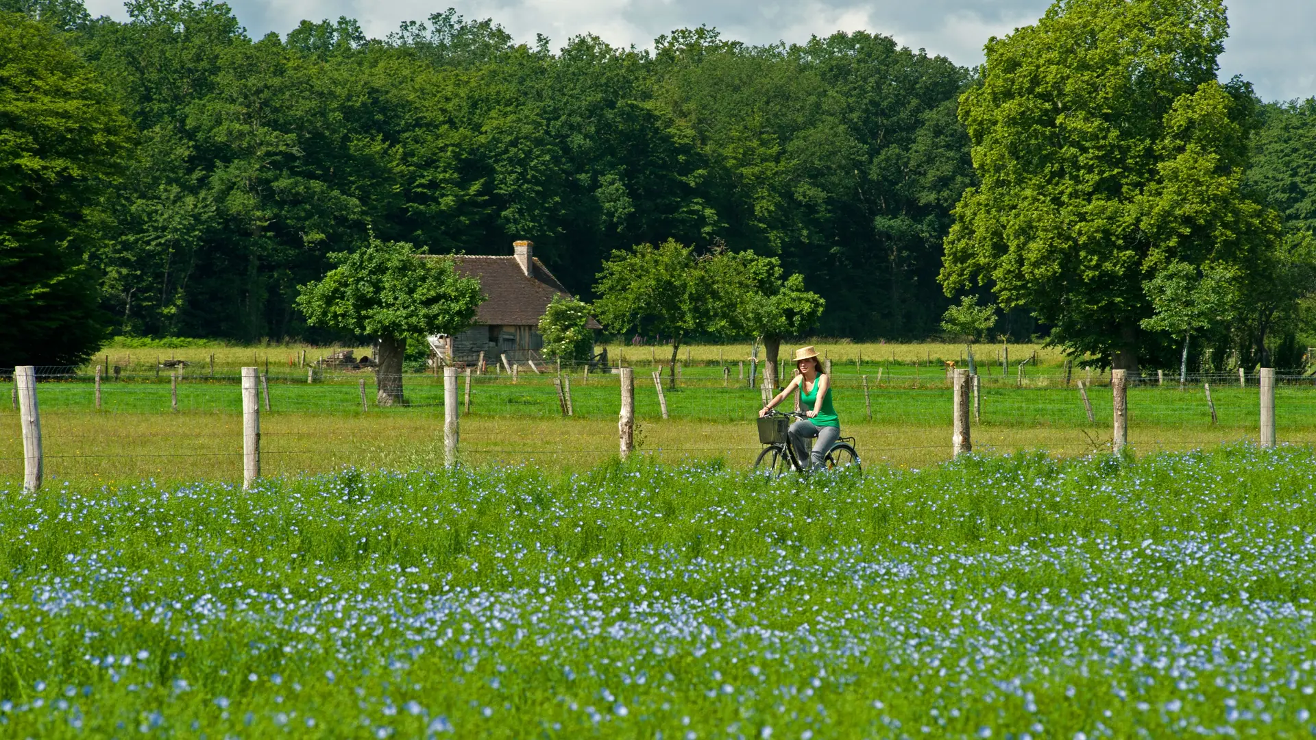 Randonnee-velo-Pays-d-Auge-2