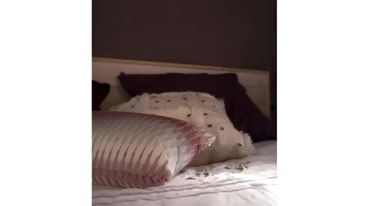 Tresor-Domaine-le-coq-enchante - 1