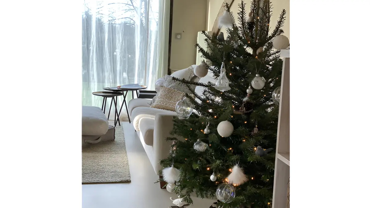 Tresor-Domaine-le-coq-enchante - 1