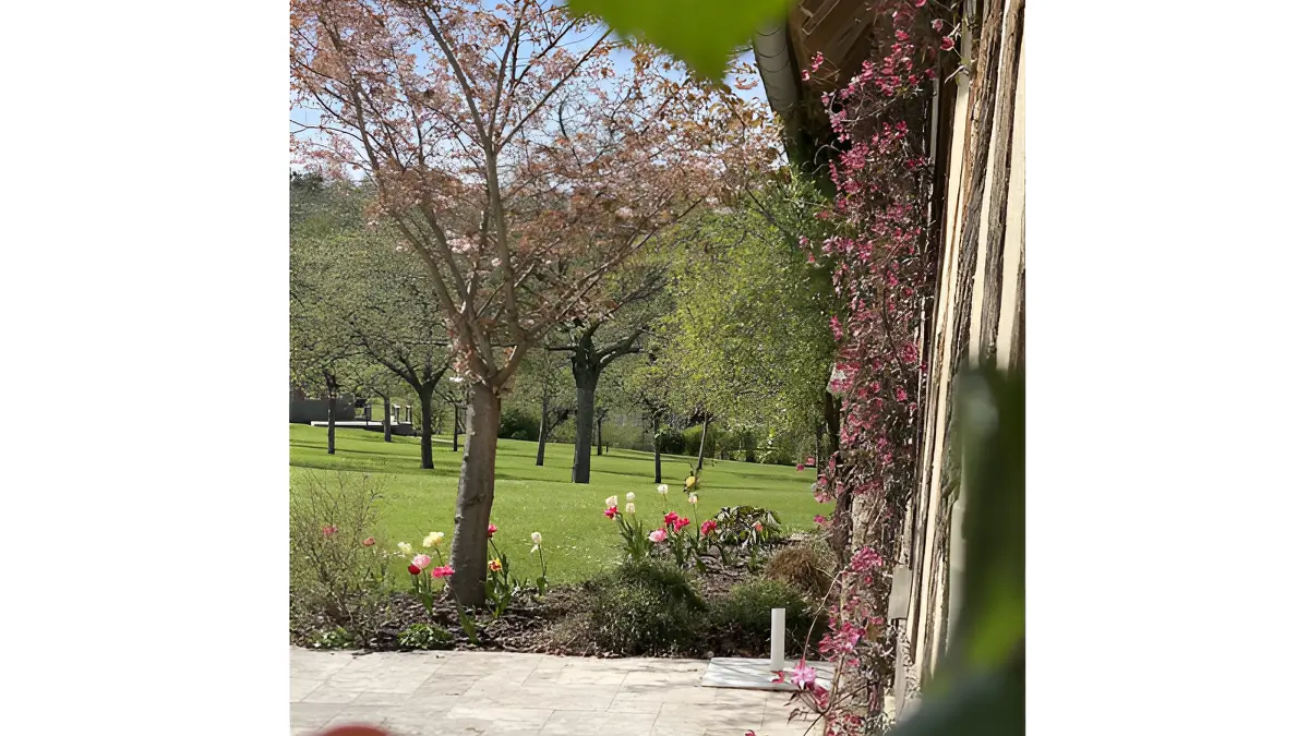 Tresor-Domaine-le-coq-enchante - 1