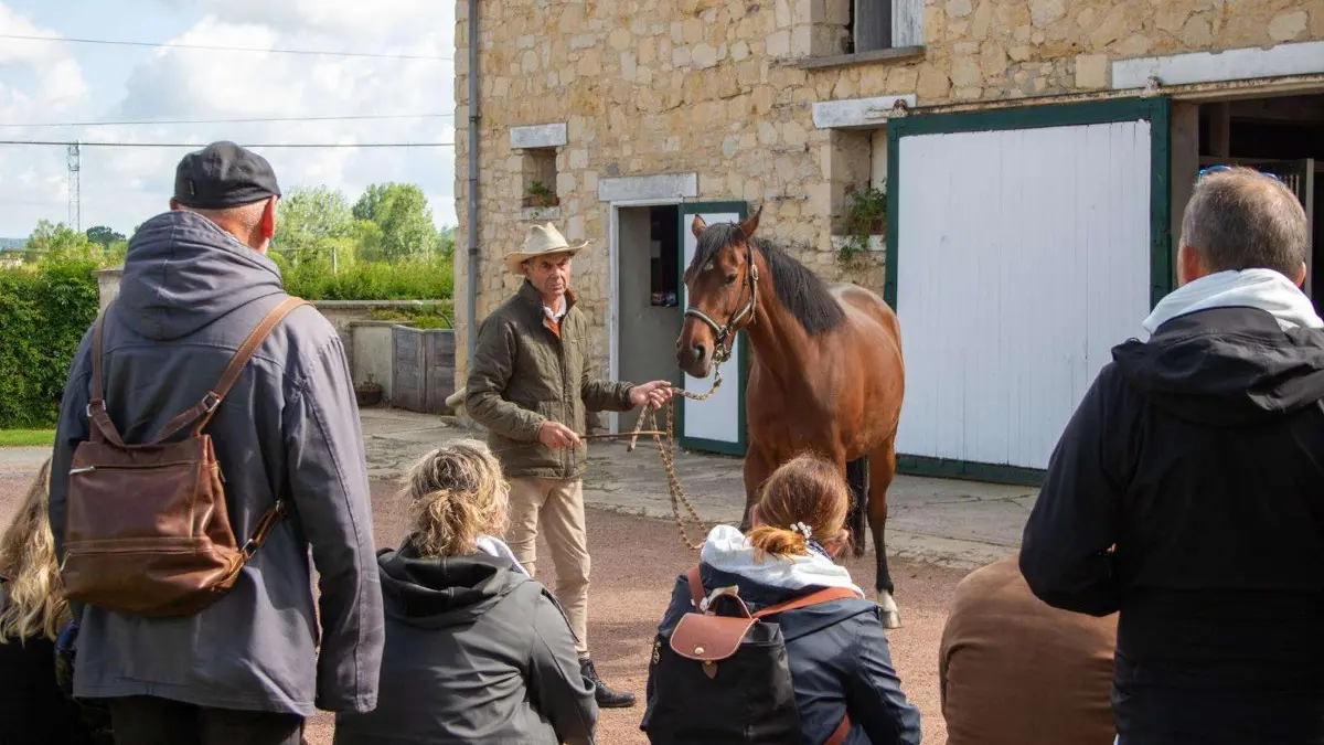 Visite guidée