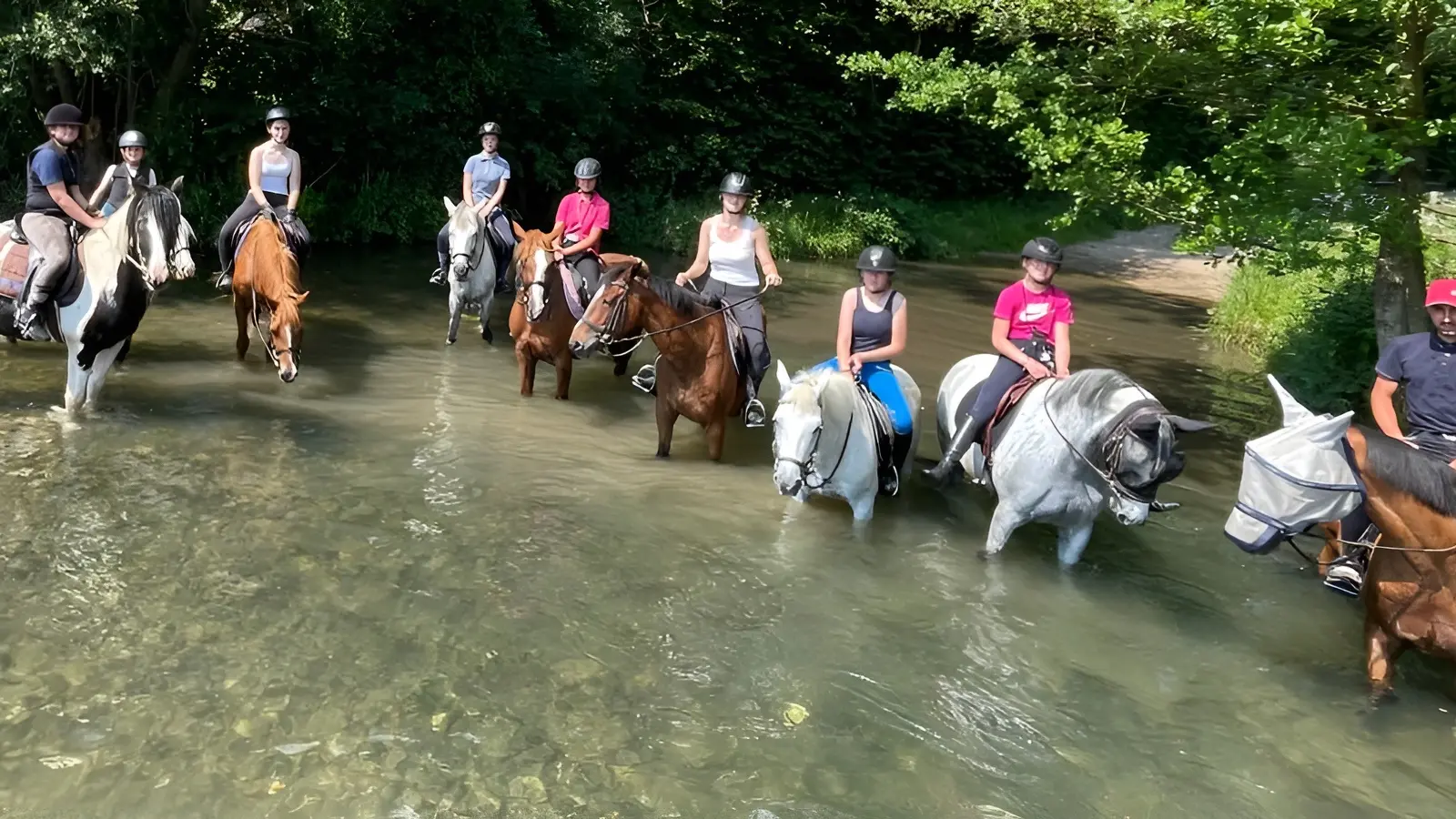 Balade Ecurie Optimum Horses