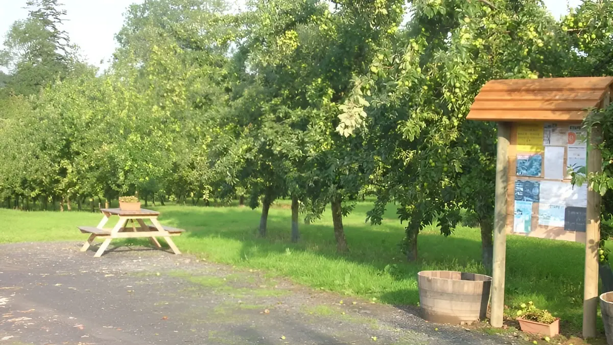 aire camping-cars - Les Bruyeres Carré à Moyaux