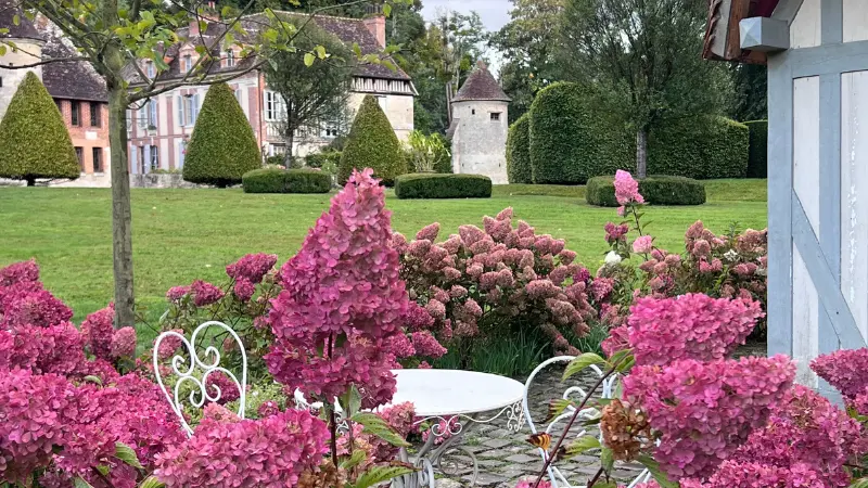 Les hydrangeas de la cabane du lutin