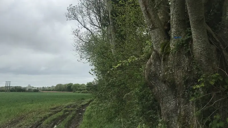 boucle-saint-aubin-Cernay3