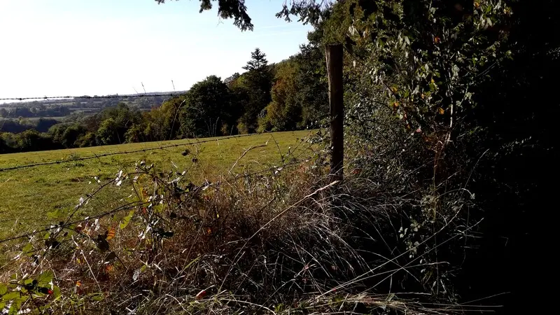 boucle-ste-marguerite-des-loges4