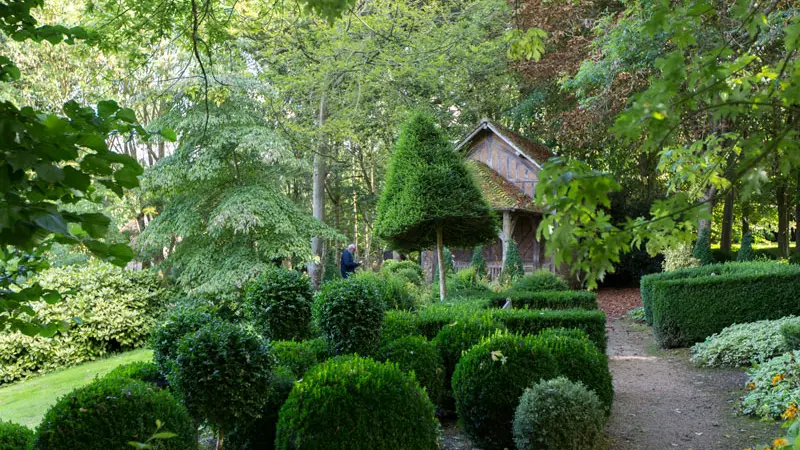 jardin-cambremer-buis
