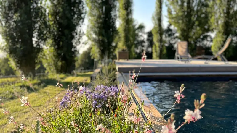 Le Préau et la piscine