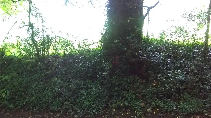 ruisseau-du-moulin-de-bailleul-Coquainvilliers1-2