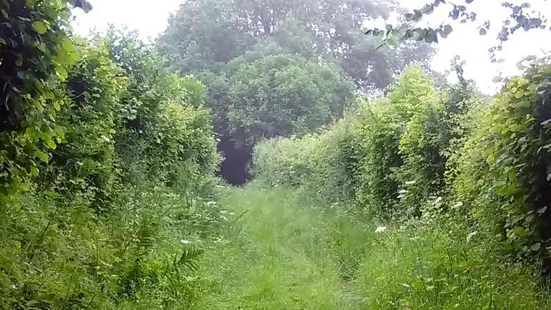 ruisseau-du-moulin-de-bailleul-Coquainvilliers2-2