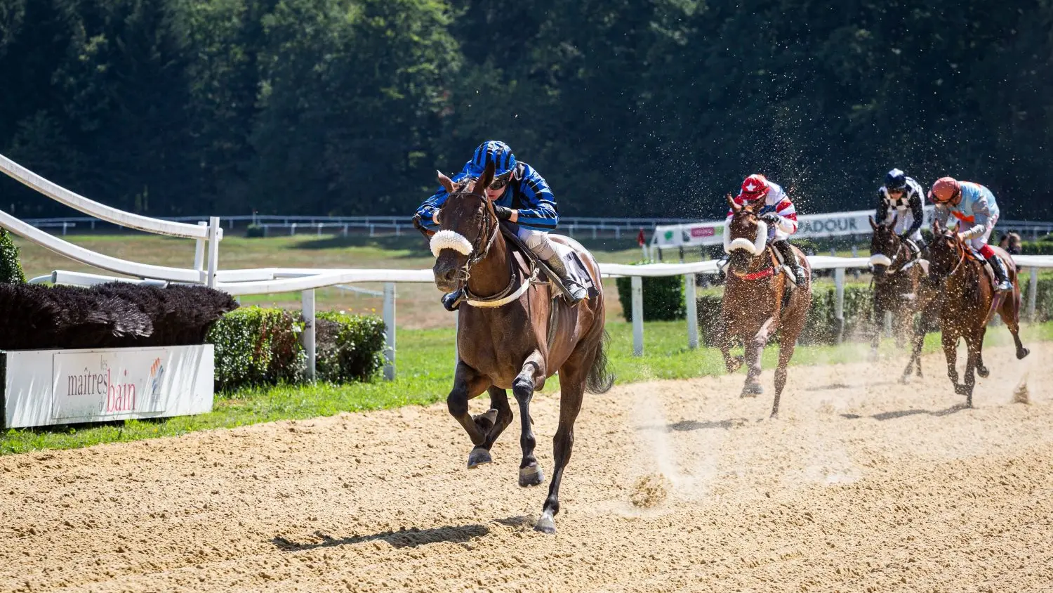Courses hippiques - Pompadour ©Cris Bastiane - Web  (7)