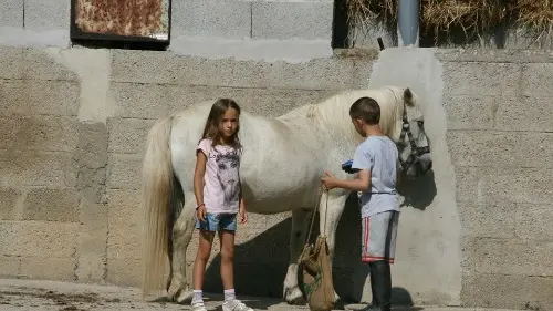 5 Poney club du moulin 500px